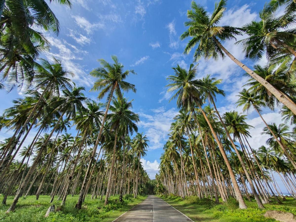 Coleto Siargao Bed & Breakfast San Isidro  Exterior photo