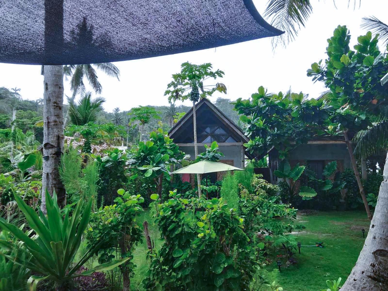 Coleto Siargao Bed & Breakfast San Isidro  Exterior photo