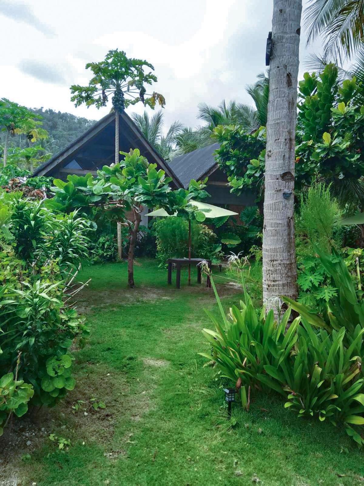 Coleto Siargao Bed & Breakfast San Isidro  Exterior photo