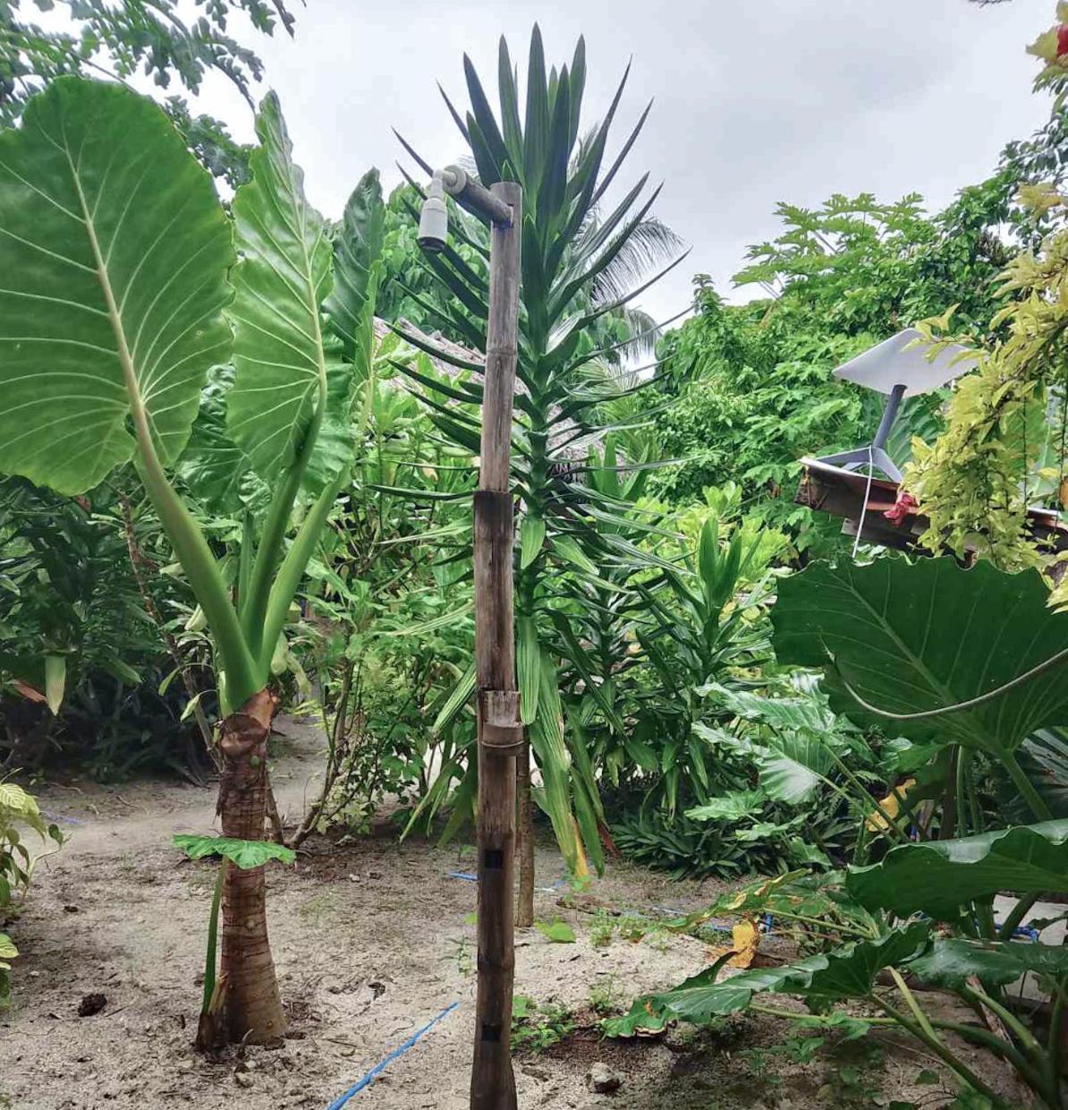 Coleto Siargao Bed & Breakfast San Isidro  Exterior photo
