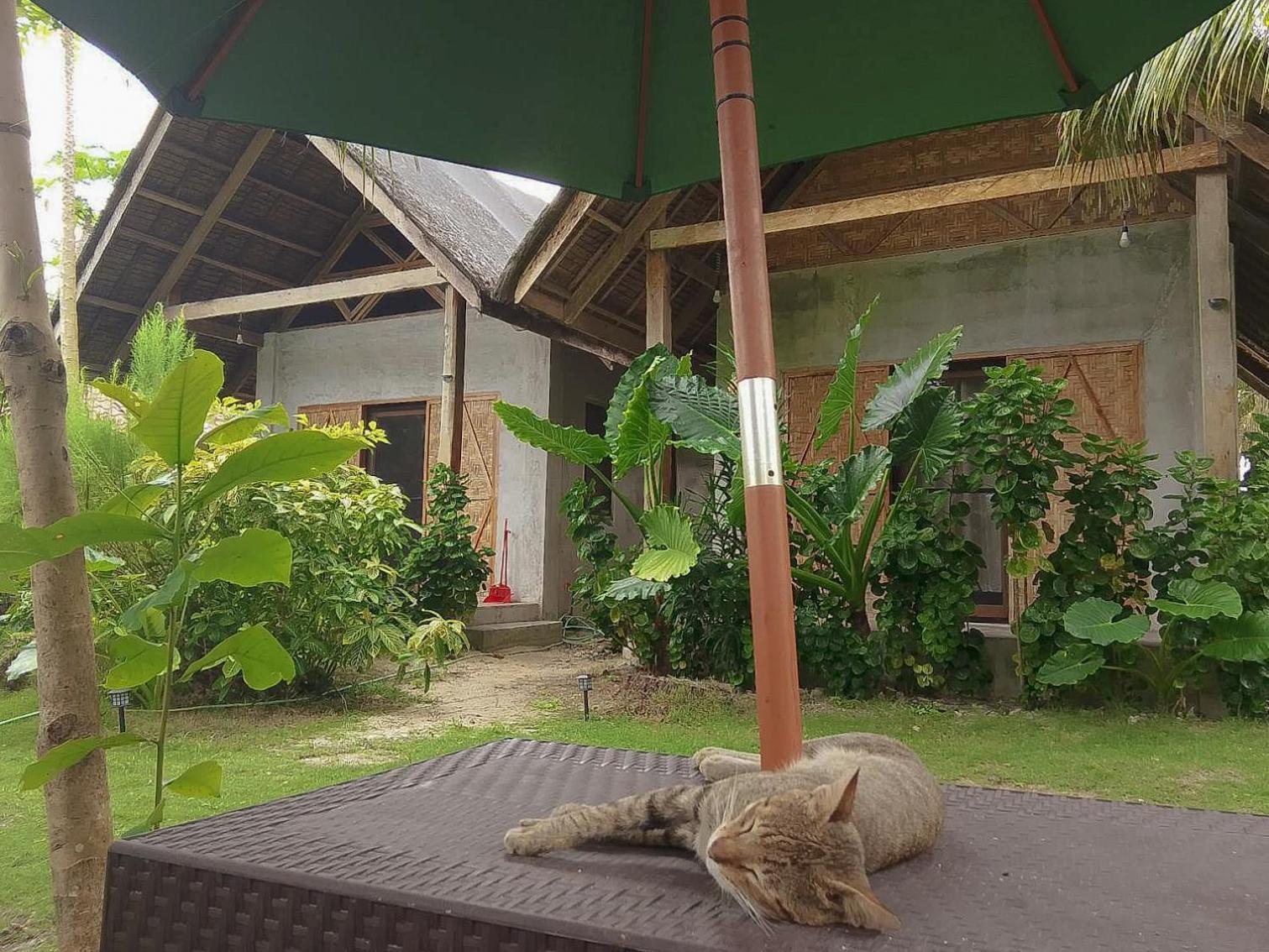 Coleto Siargao Bed & Breakfast San Isidro  Exterior photo