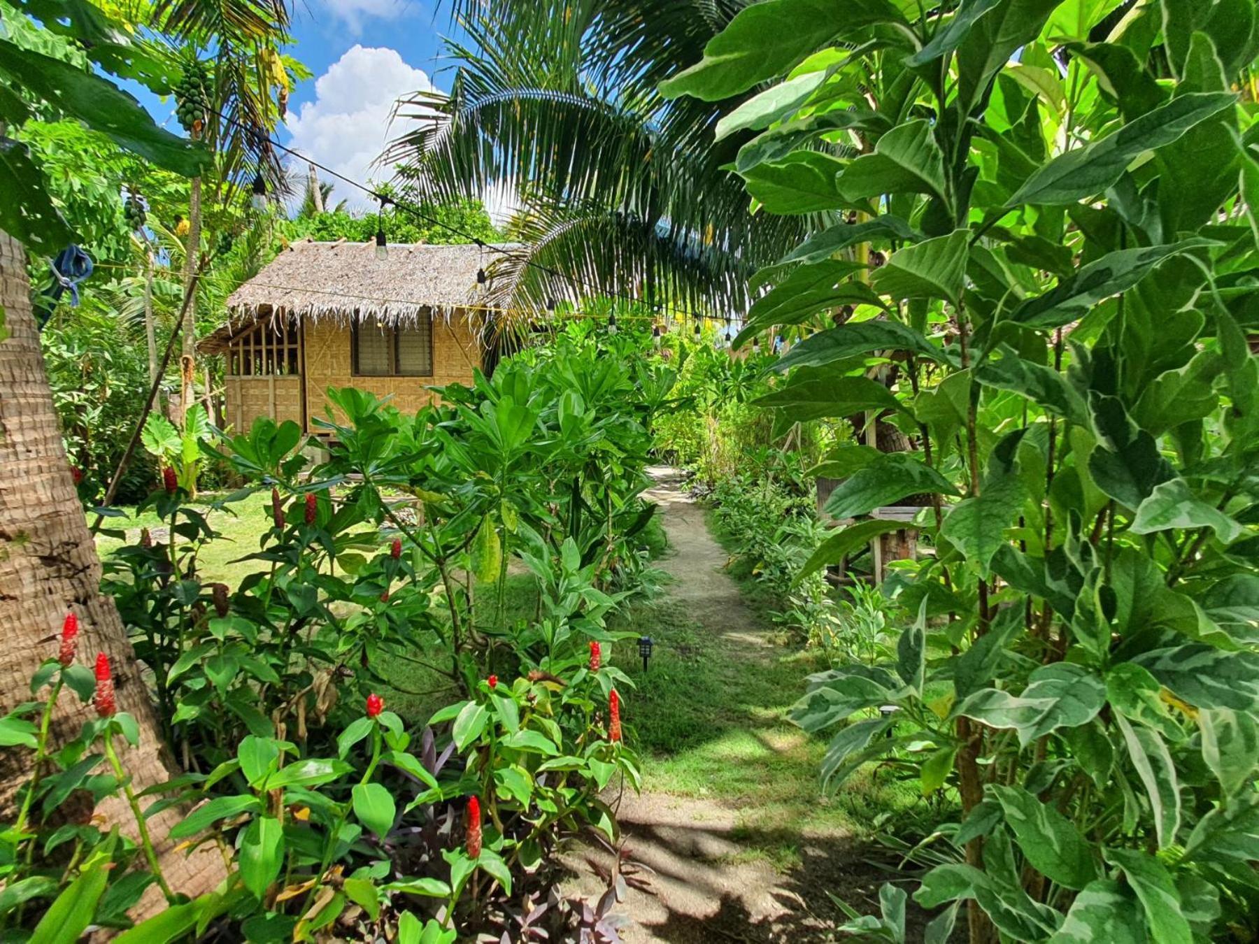 Coleto Siargao Bed & Breakfast San Isidro  Exterior photo