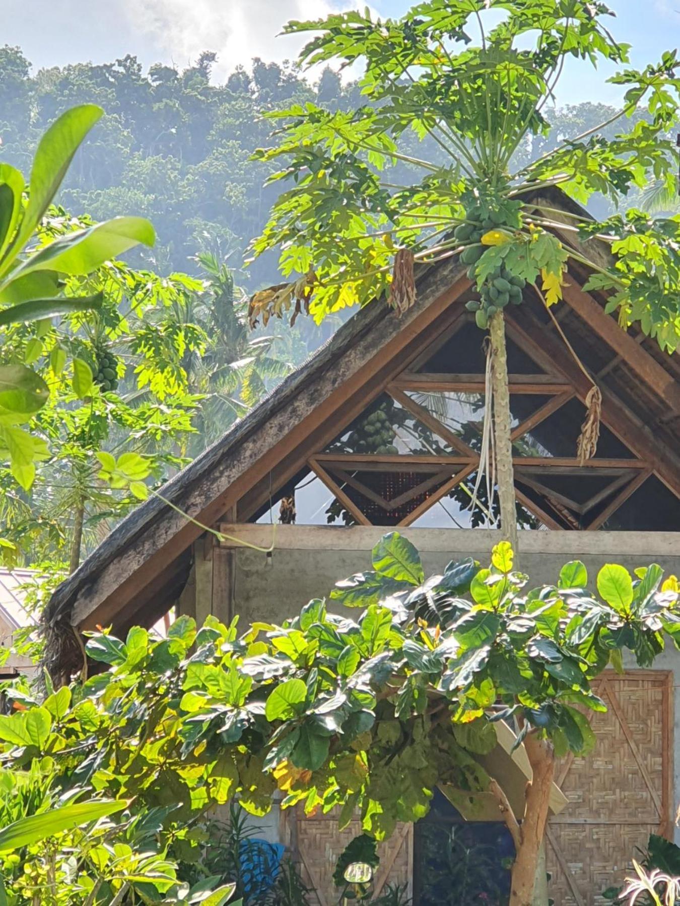 Coleto Siargao Bed & Breakfast San Isidro  Exterior photo