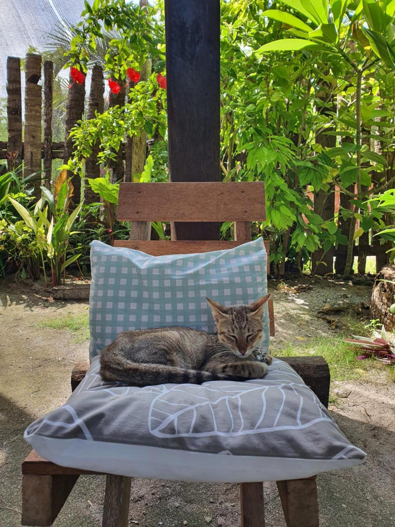Coleto Siargao Bed & Breakfast San Isidro  Exterior photo