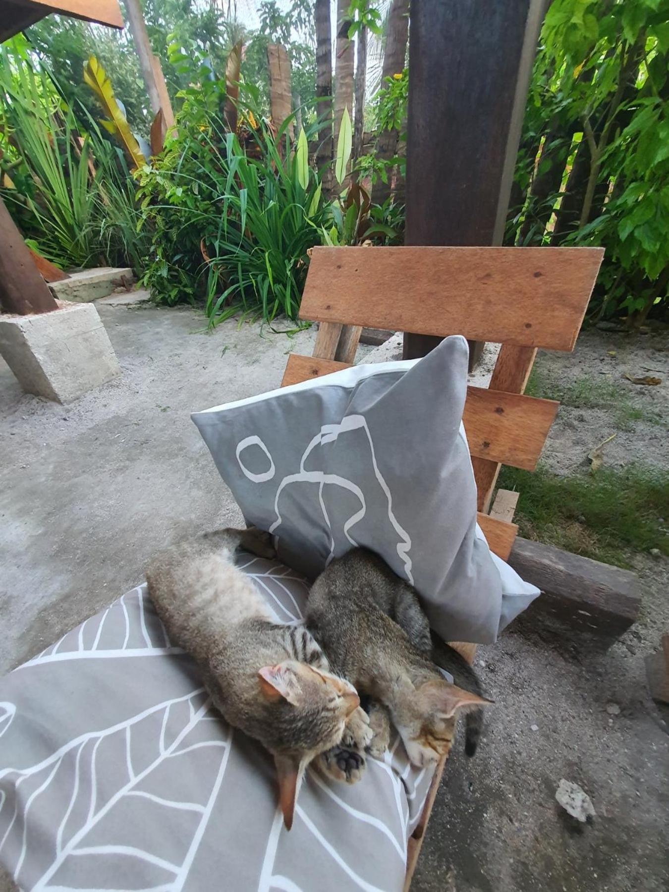 Coleto Siargao Bed & Breakfast San Isidro  Exterior photo